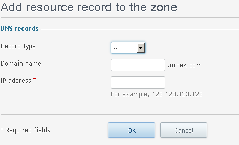 dns settings