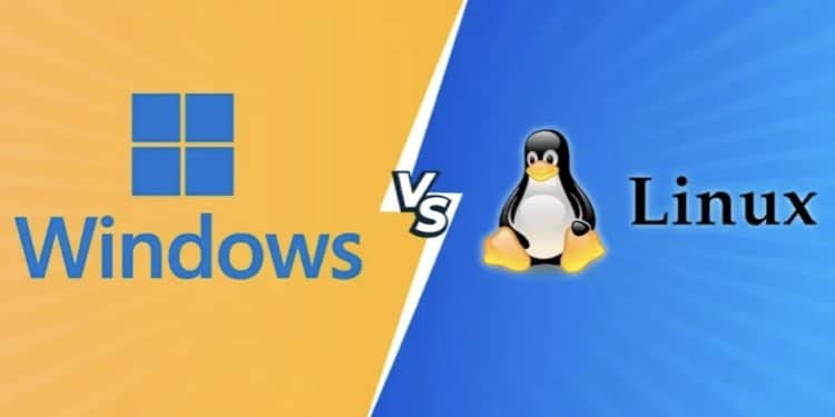 linux vs windows hosting