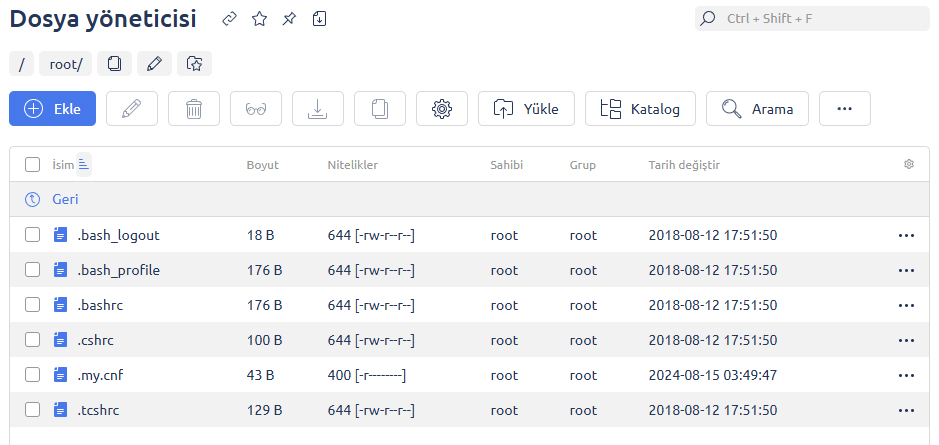 Dosya Yöneticisi Ekranı